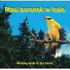 Ptasi Poranek w Lesie