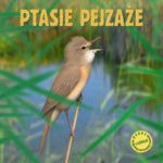 Kliknij aby zobaczyć zdjęcie w oryginalnej wielkości